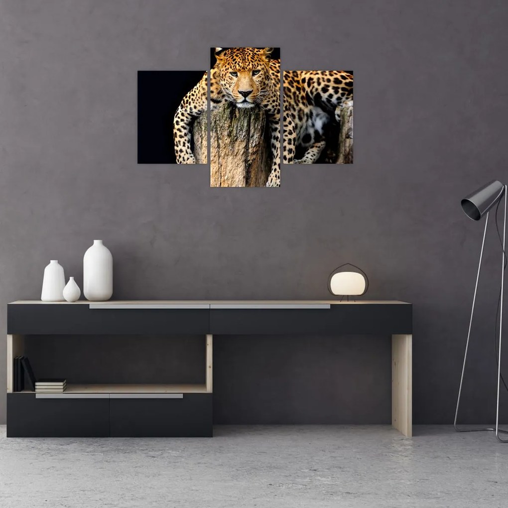 Tablou - Ghepard (90x60 cm)