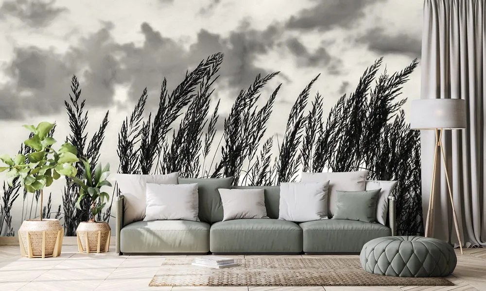 Fototapet iarbă în design alb-negru