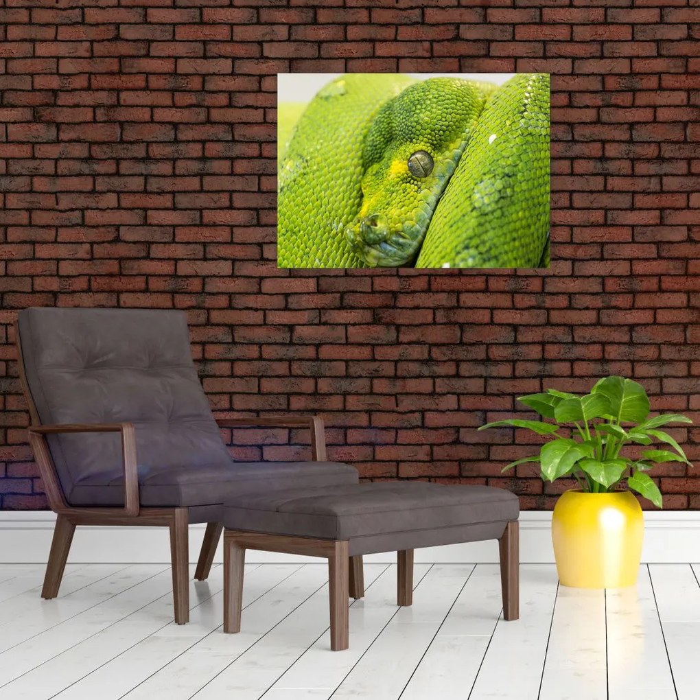 Tablou cu șarpe (70x50 cm)