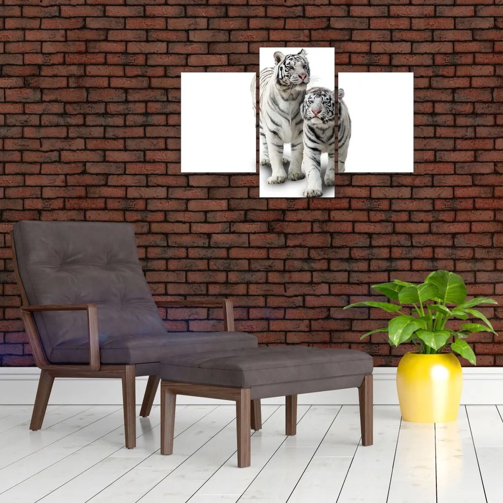 Tablou - Tigrul alb (90x60 cm)