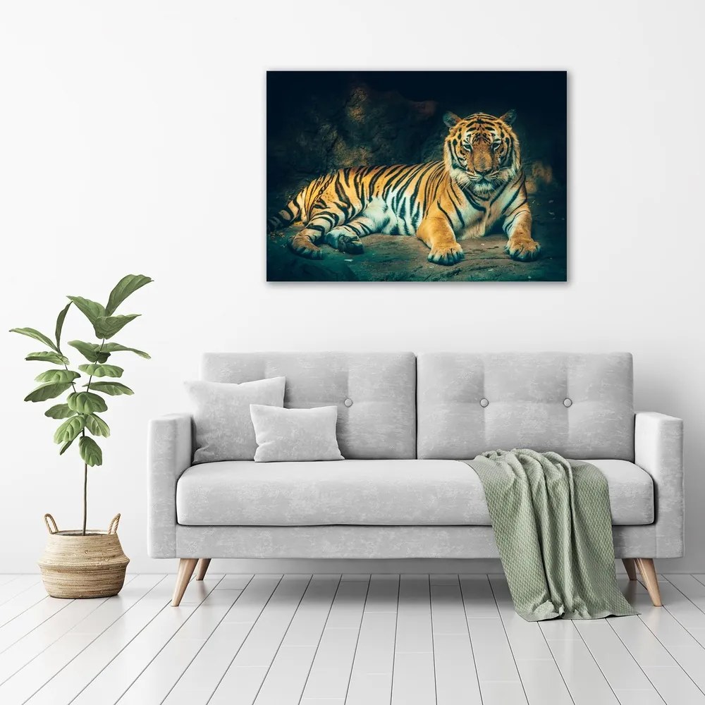 Imprimare tablou canvas Tiger cave
