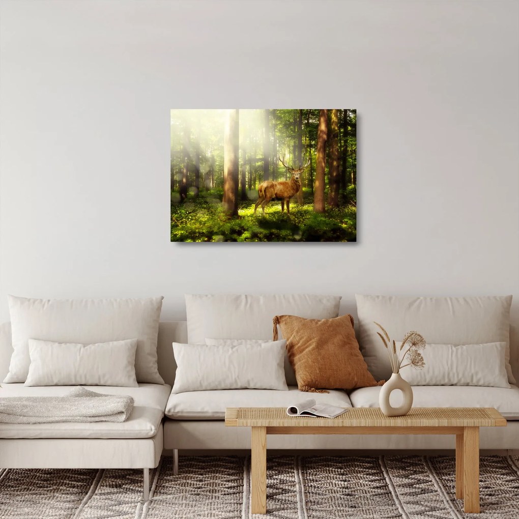 Tablou pe sticlă cu cerbul în pădure (70x50 cm)
