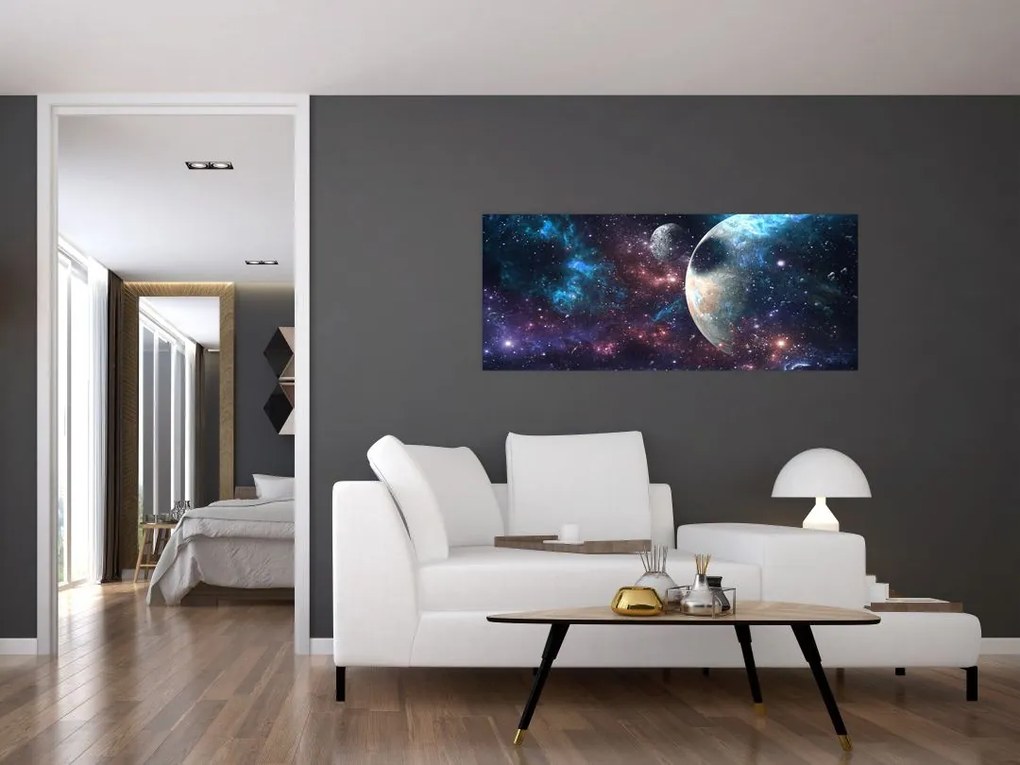 Tablou cu cosmos (120x50 cm)