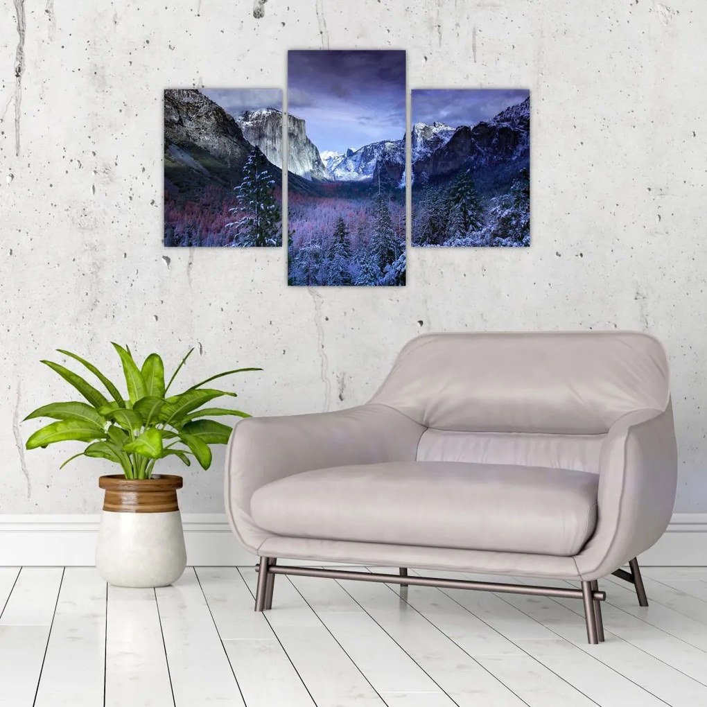 Tablou - Yosemite, USA (90x60 cm)