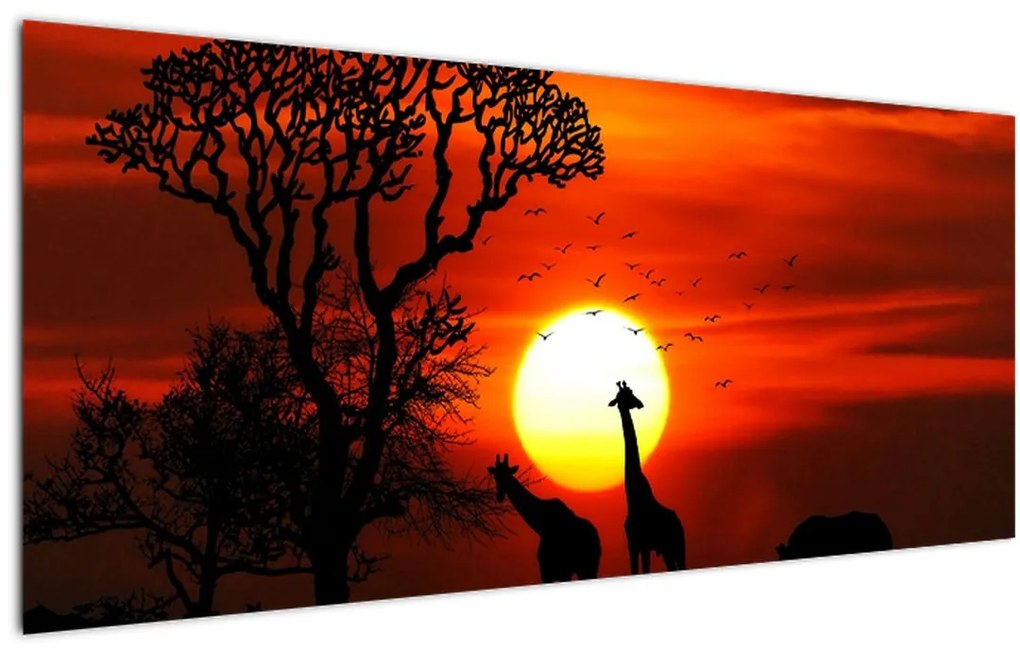 Tablou - Siluete animalelor la apus de soare (120x50 cm)