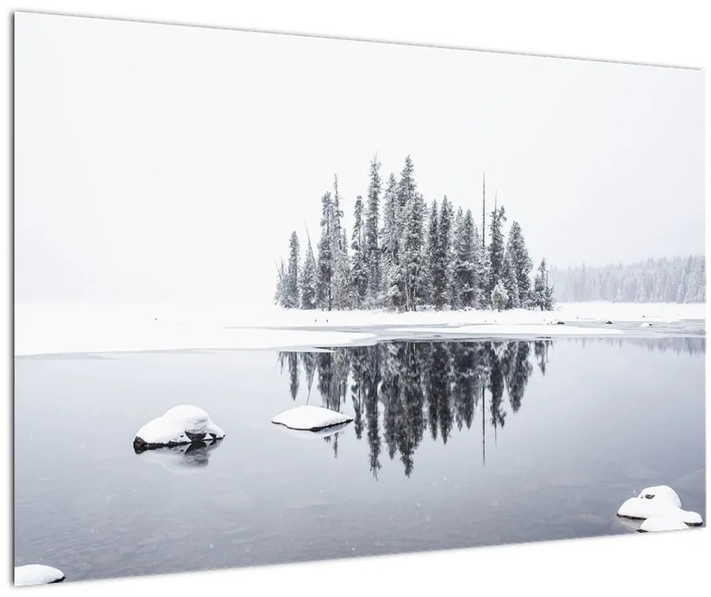 Tablou - A fost alb (90x60 cm)