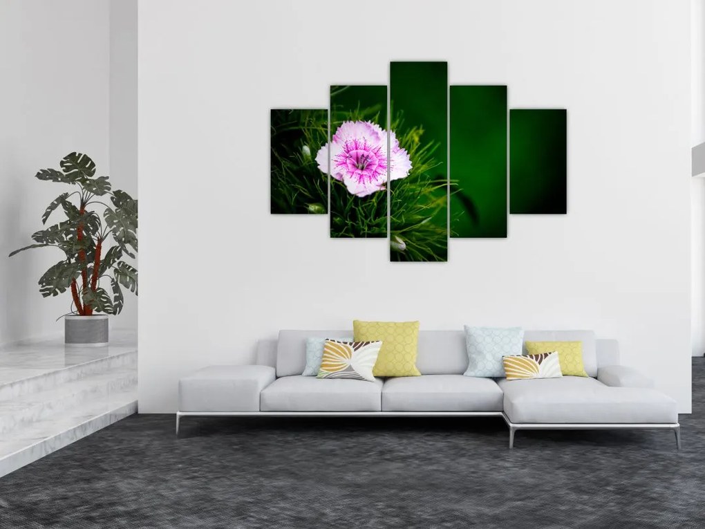 Tablou cu floare roz (150x105 cm)