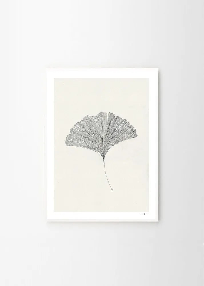 Poster 50x70 cm Ginkgo Leaf – Ana Frois – The Poster Club