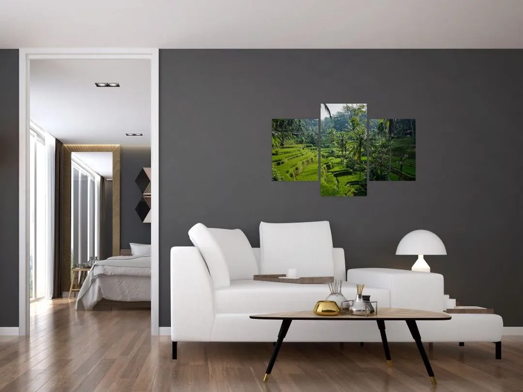Tablou cu terasele cu orez Tegalalang, Bali (90x60 cm)
