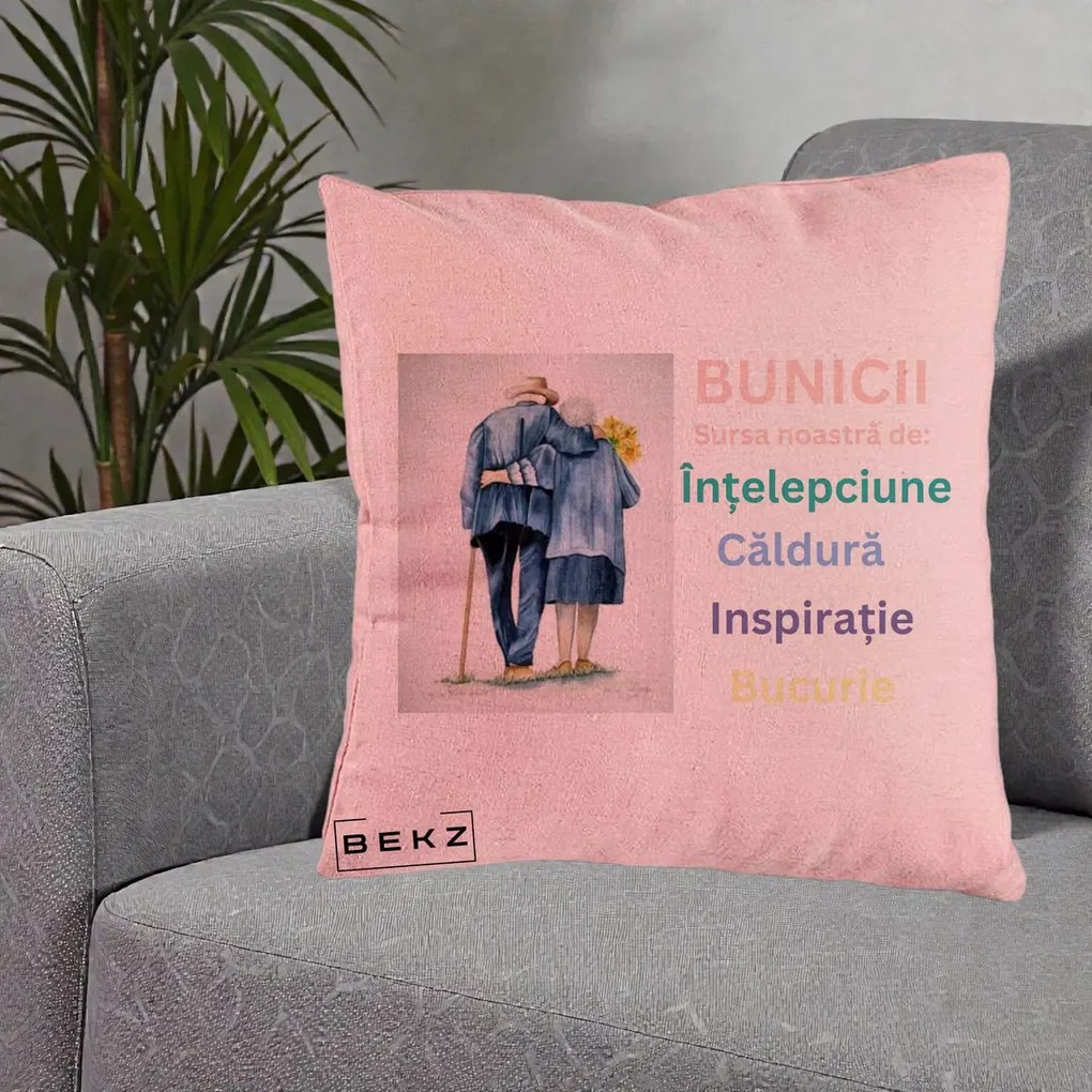 Cadou pentru Bunici - Perna Personalizata Bunicii Sursa Intelepciune Caldura Acuarela, 40x40 cm, Roz, Husa Detasabila, Perna Inclusa, BEKZ®
