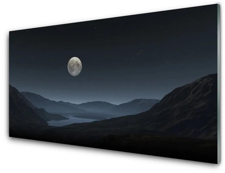 Tablou pe sticla acrilica Noapte Moon Peisaj Gri Negru