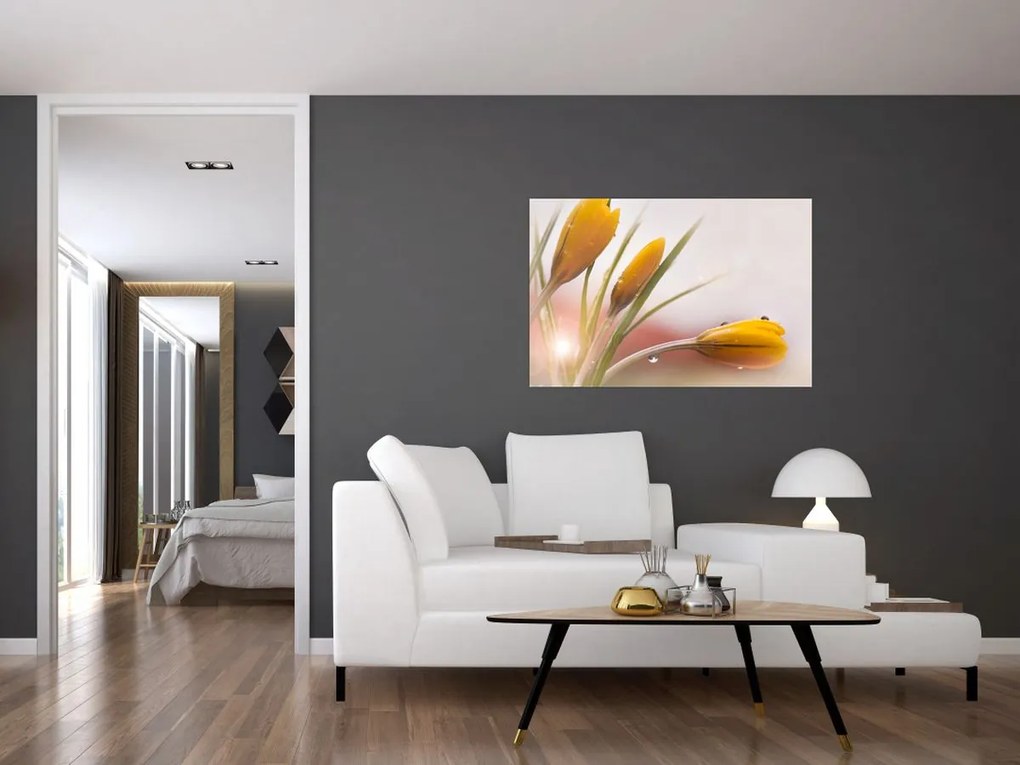 Tablou - Flori de primăvară (90x60 cm)