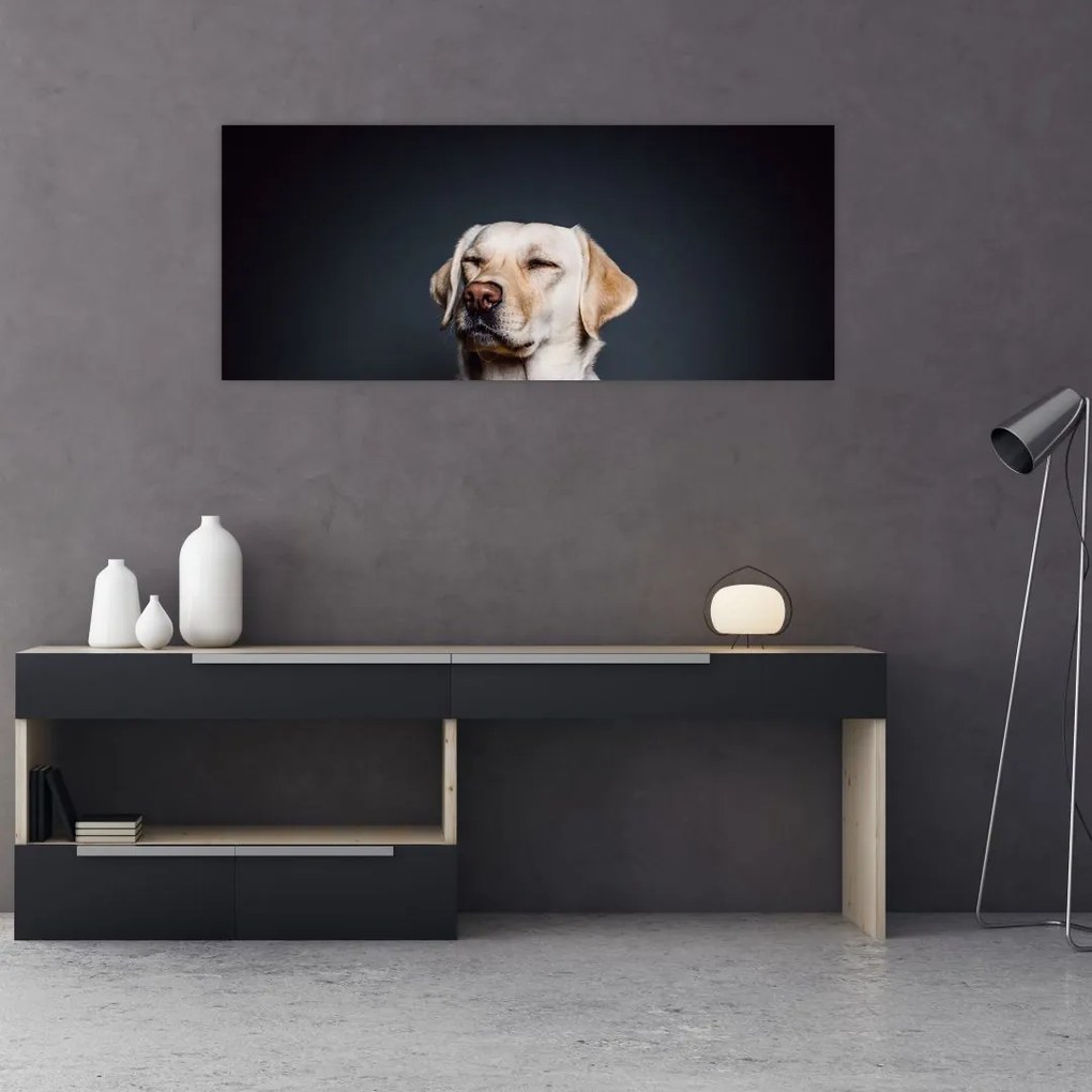 Tablou cu labrador (120x50 cm)