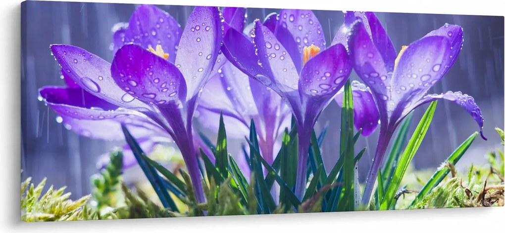 Tablou cuflori în ploaie (120x50 cm)