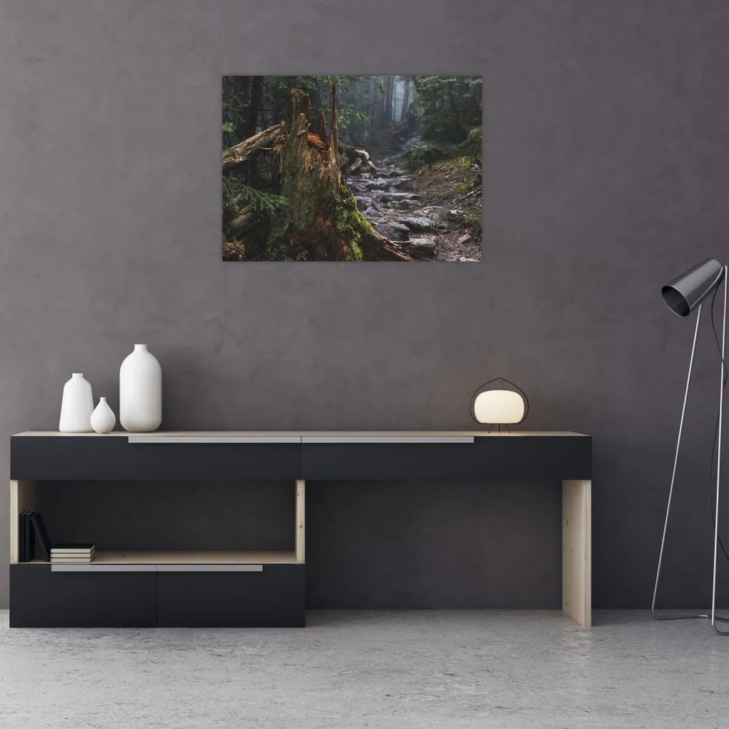 Tablou pe sticlă - În pădure (70x50 cm)