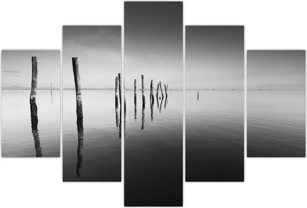 Tablou cu nivelul de lac alb negru (150x105 cm)