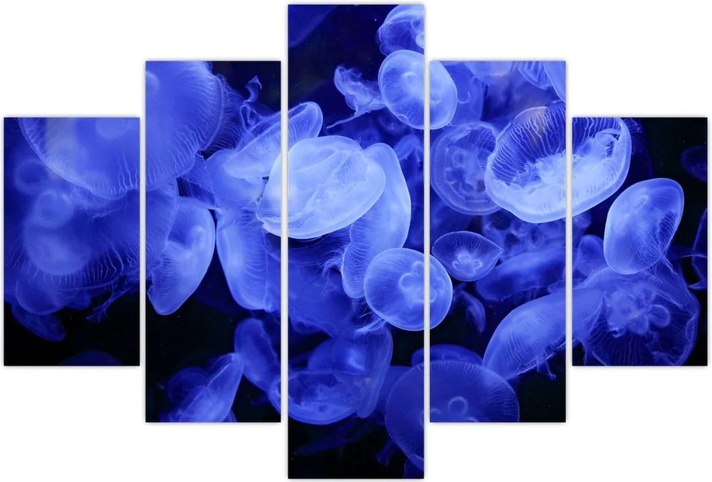 Tablou - Meduză (150x105 cm)