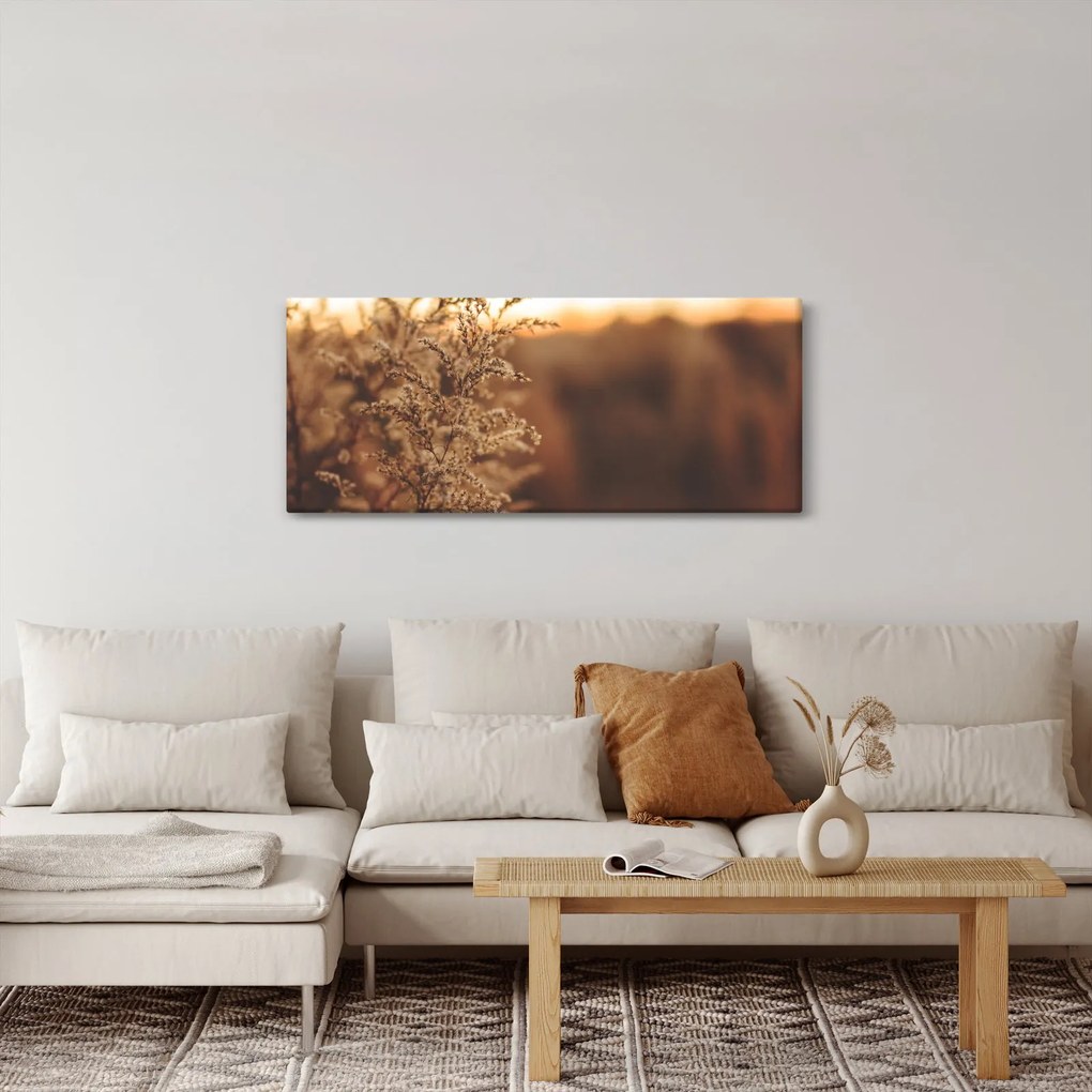Tablou - Iarba înflorită (120x50 cm)