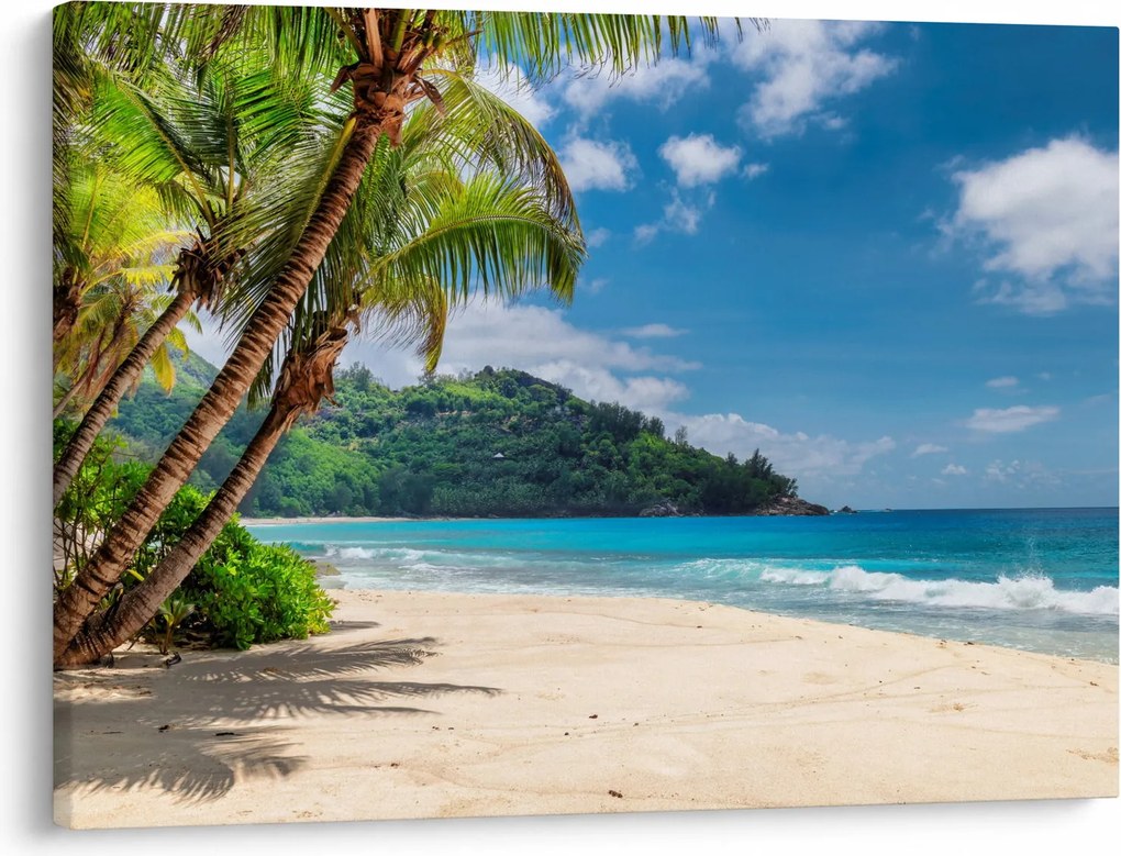 Tablou - Caraibe (70x50 cm)