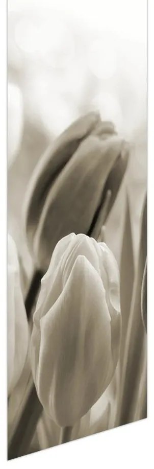 Fotojaluzele R012126R57150 (57x150 cm)