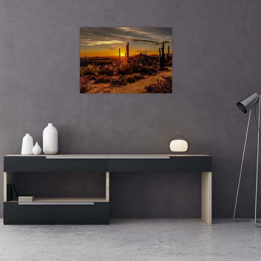 Tablou pe sticlă - Sfărșit de zi în deșertul Arizona (70x50 cm)