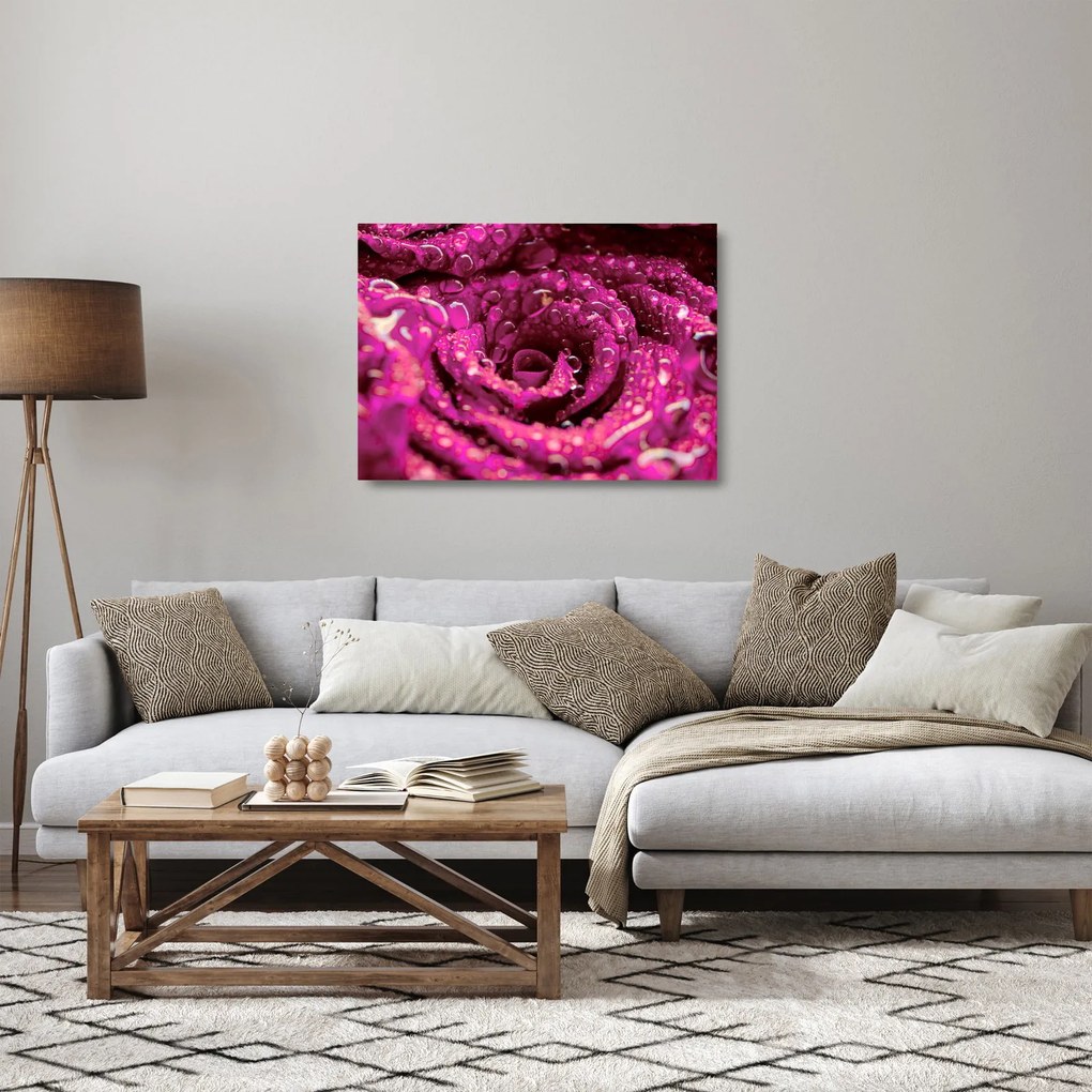 Tablou pe sticlă cu floarea trandafirului roz (70x50 cm)