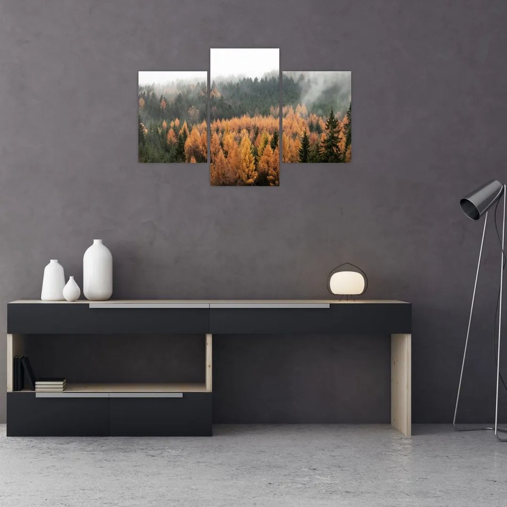Tablou - Pădure toamna (90x60 cm)
