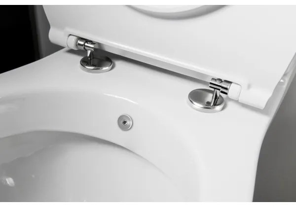 Sapho - Vas WC combinat cu duș bideu, evacuare pe spate, ceramică/alb