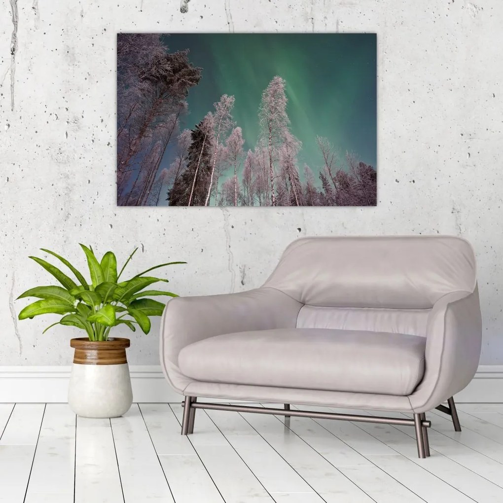 Tablou cu aurora borealis deasupra pomilor înghețați (90x60 cm)