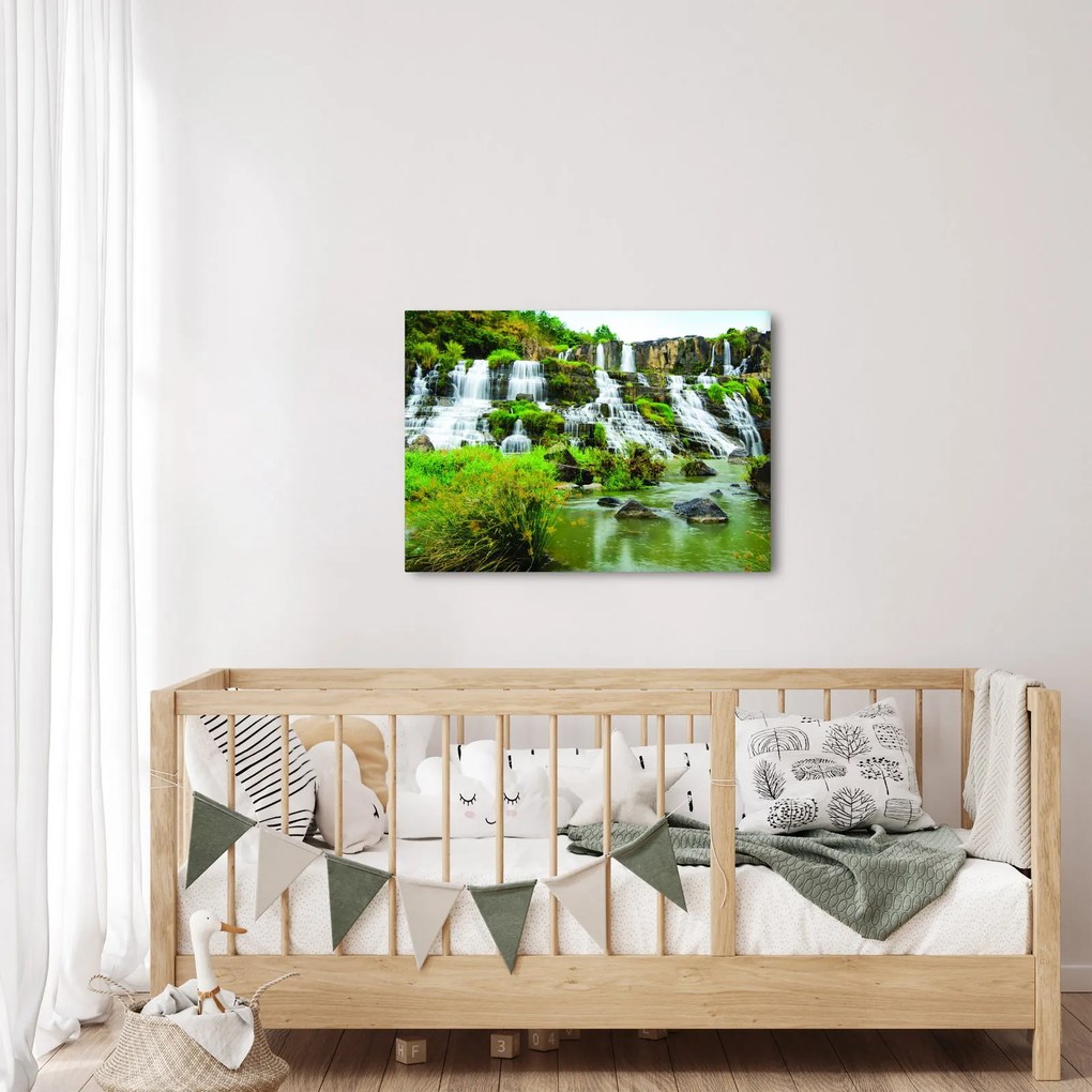 Tablou - cascade cu plante (70x50 cm)