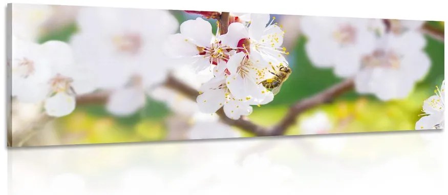 Tablou flori în pom primăvara