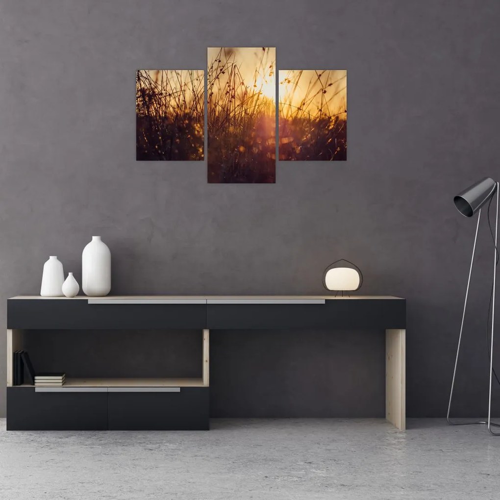 Tablou - Câmp la apus de soare (90x60 cm)