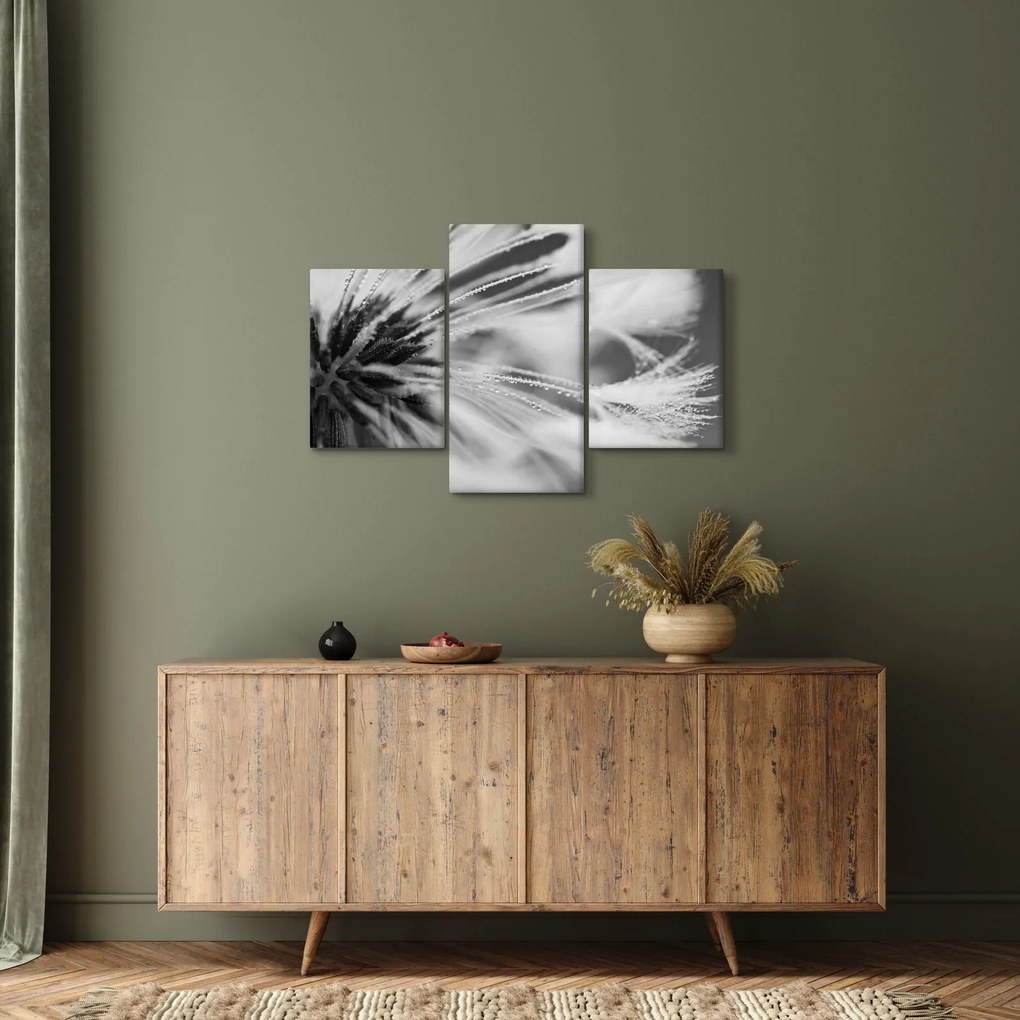 Tablou - Macro,alb-negru (90x60 cm)