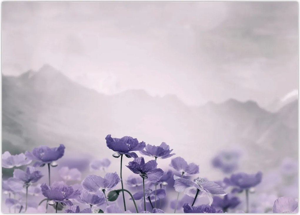 Tablou - Flori mov în munți (70x50 cm)