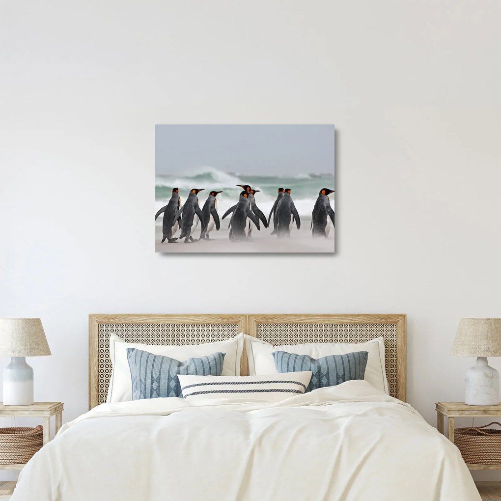 Tablou pe sticlă pinguini în ocean (70x50 cm)