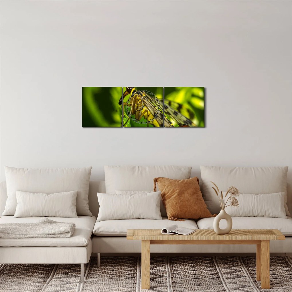 Tablou cu omide (cu ceas) (90x30 cm)