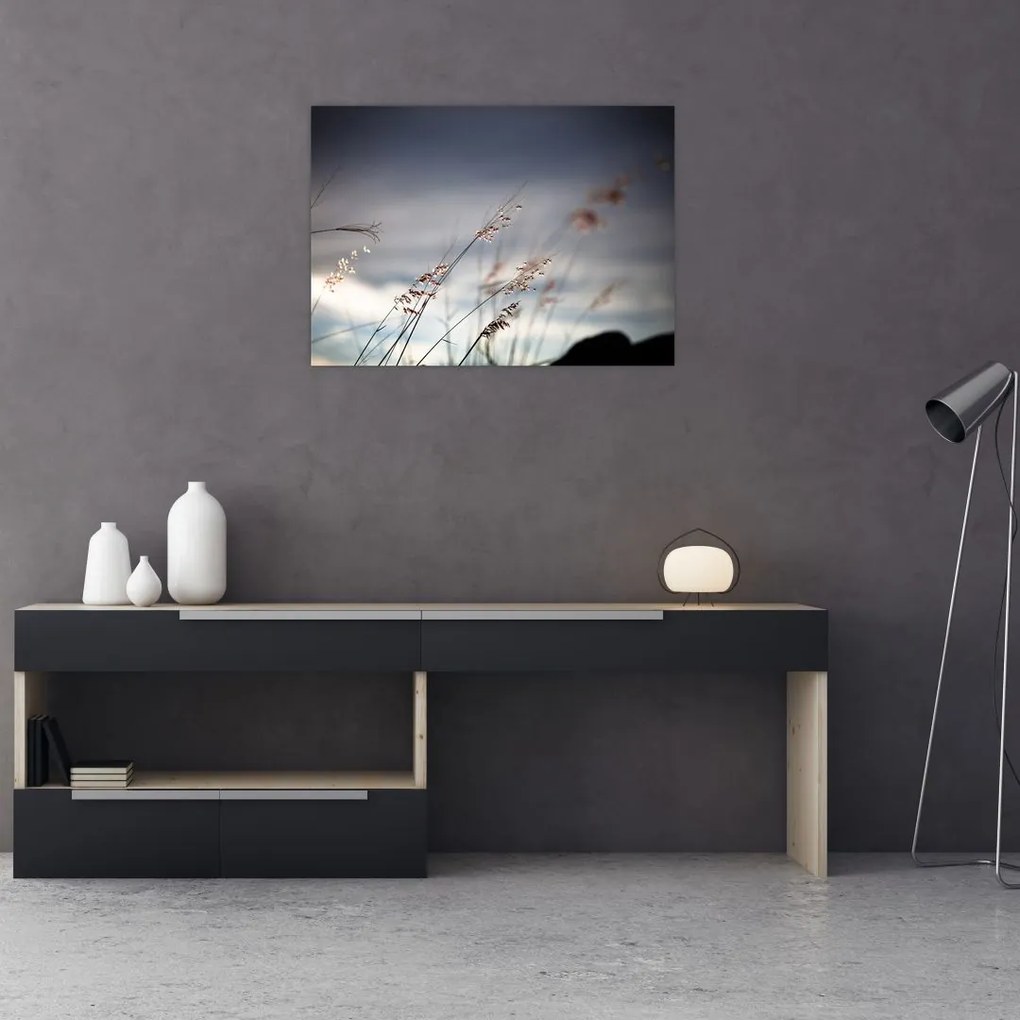 Tablou -Flori de luncă (70x50 cm)