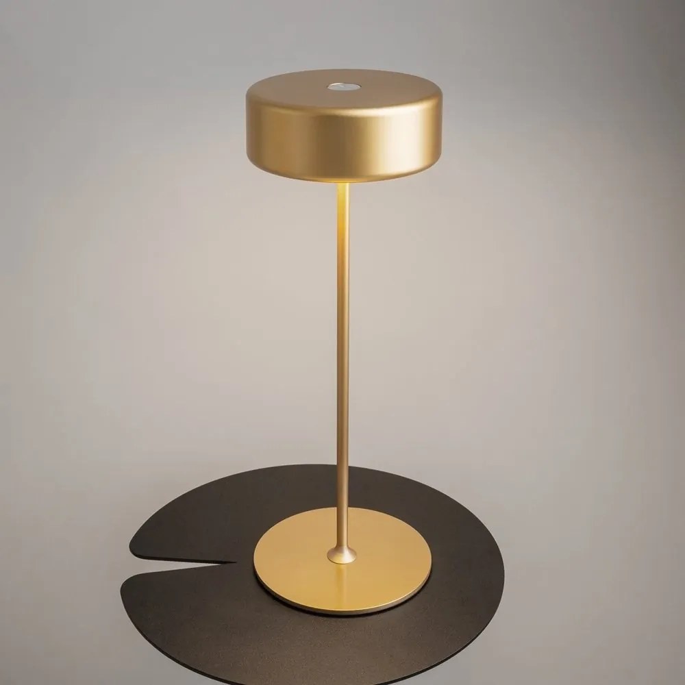 Lampa portabila cu baterii AI design auriu