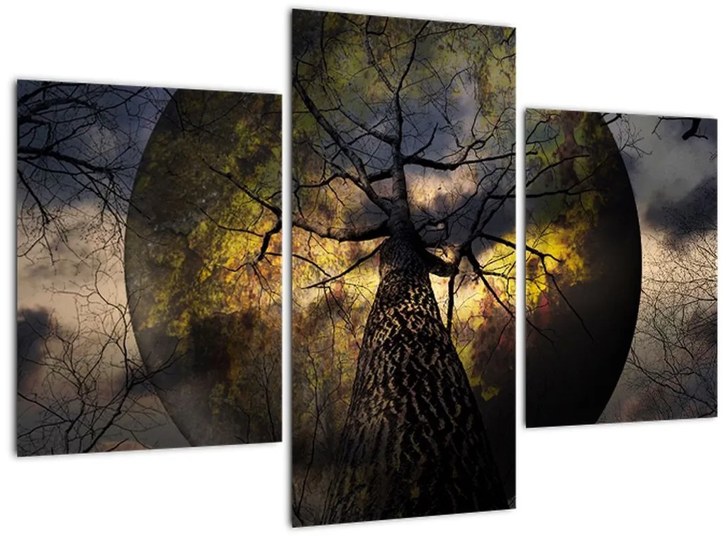 Tablou - Cerul enigmatic (90x60 cm)