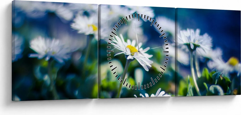 Tablou - Margarete (cu ceas) (90x30 cm)