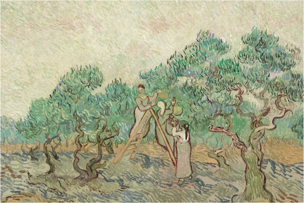 Tablou - Vincent van Gogh, The Olive Orchard, reproducere (90x60 cm)