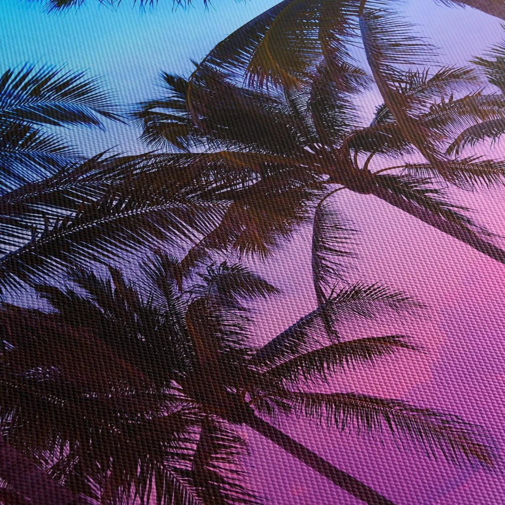 Tablou - Palmieri din Miami (70x50 cm)