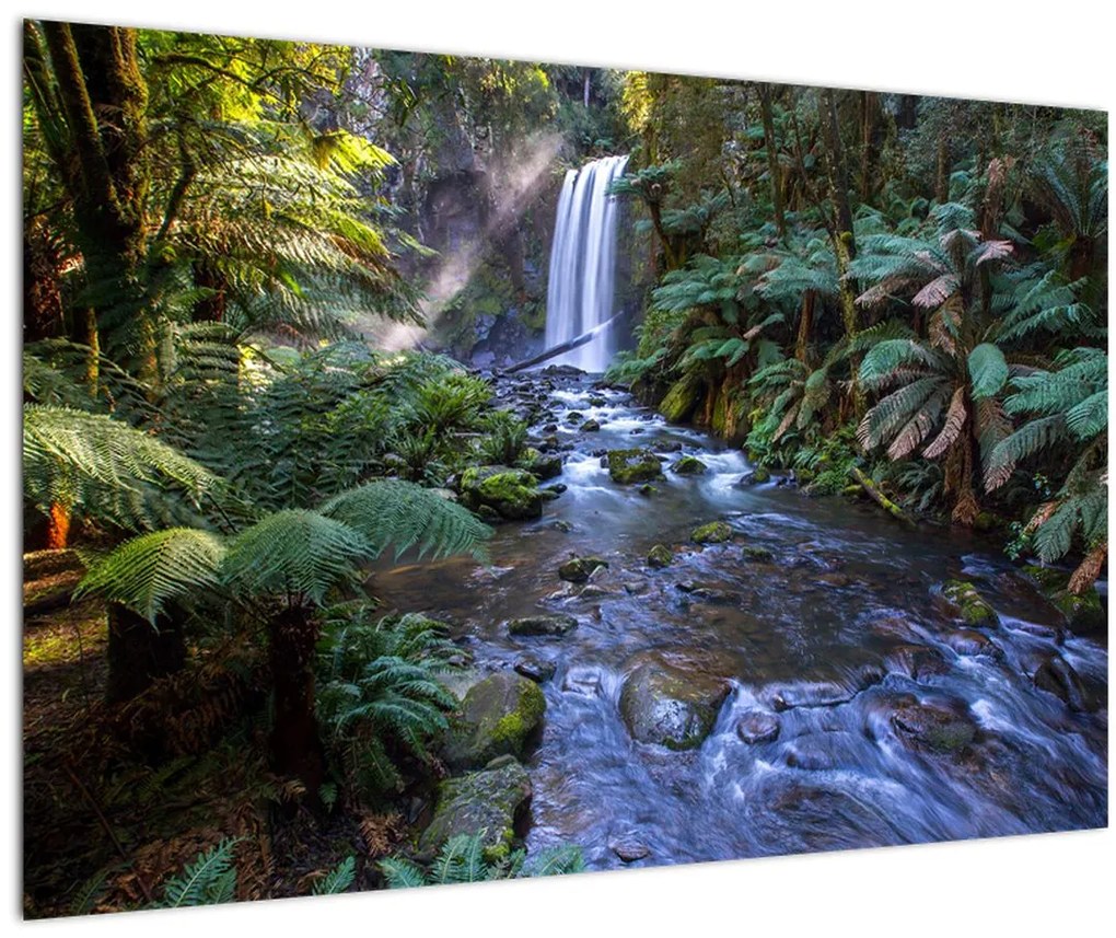 Tablou cu pădurea ploilor din Austalia (90x60 cm)