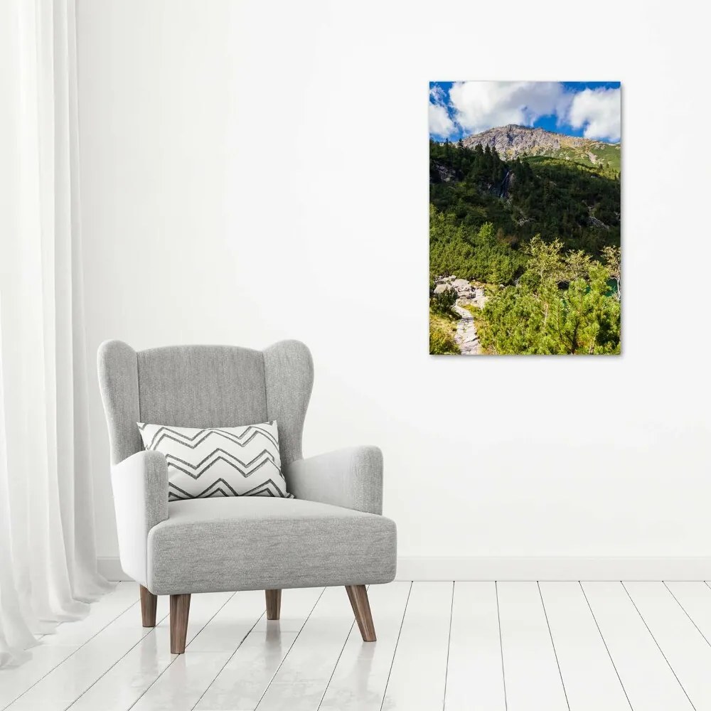 Fotografie imprimată pe sticlă Marine ochi Tatry