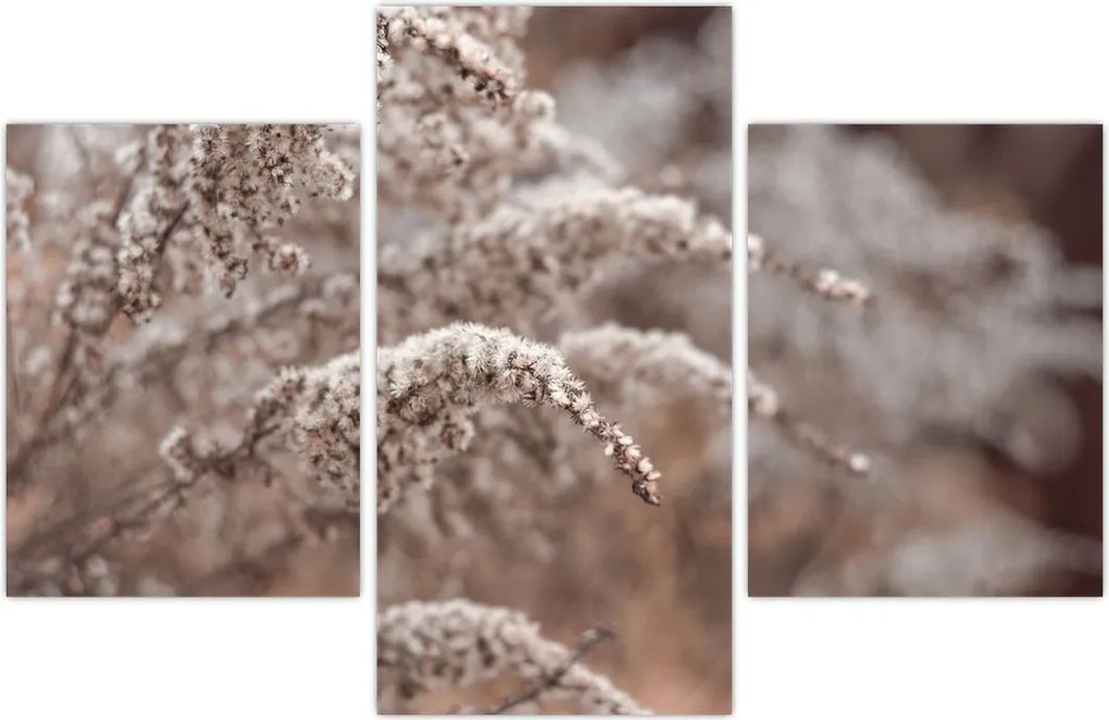 Tablou cu plante (90x60 cm)