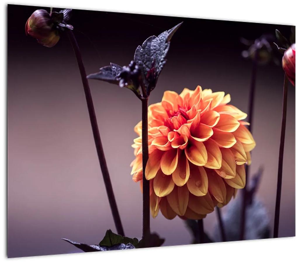 Tablou - Floare (70x50 cm), în 40 de alte dimensiuni noi