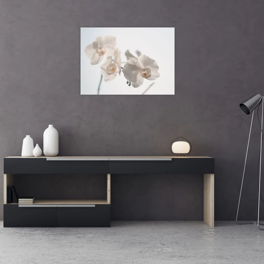 Tablou cu orhidee albă (70x50 cm)