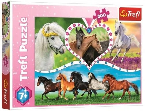 Puzzle Cai 200 piese 48x34cm într-o cutie 33x23x4cm