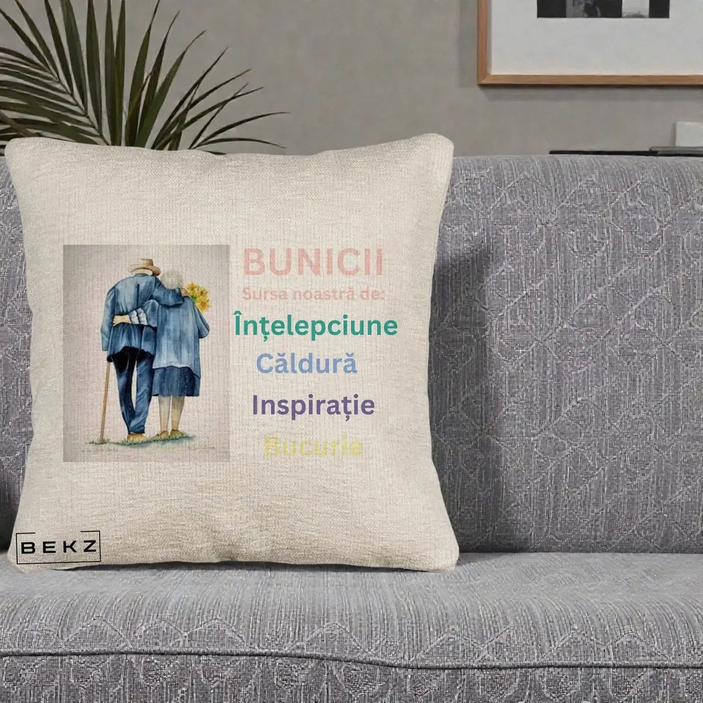 Cadou pentru Bunici - Perna Personalizata Bunicii Sursa Intelepciune Caldura Acuarela, 40x40 cm, Bej Canapea, Husa Detasabila, Perna Inclusa, BEKZ®