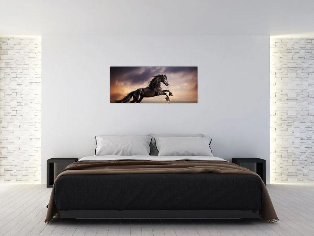 Tablou - Cai (120x50 cm)